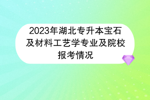 2023年湖北專升本寶石及材料工藝學(xué)專業(yè)及院校報考情況
