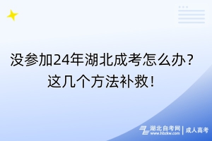 沒參加24年湖北成考怎么辦？這幾個(gè)方法補(bǔ)救！