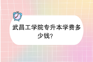 武昌工學(xué)院專升本學(xué)費(fèi)多少錢？