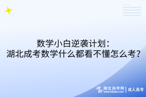 數(shù)學(xué)小白逆襲計劃：湖北成考數(shù)學(xué)什么都看不懂怎么考？