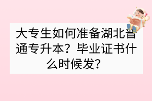 大專生如何準(zhǔn)備湖北普通專升本？畢業(yè)證書什么時(shí)候發(fā)？