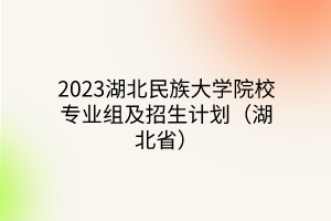 2023湖北民族大學(xué)院校專(zhuān)業(yè)組及招生計(jì)劃（湖北?。?></a></div>
								<div   id=