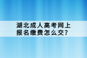 湖北成人高考網(wǎng)上報(bào)名繳費(fèi)怎么交？