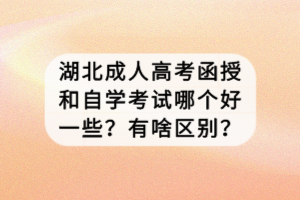 湖北成人高考函授和自學(xué)考試哪個好一些？有啥區(qū)別？