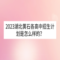 2023湖北黃石各高中招生計劃是怎么樣的？