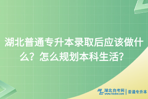 湖北普通專升本錄取后應(yīng)該做什么？怎么規(guī)劃本科生活？