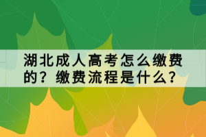 湖北成人高考怎么繳費(fèi)的？繳費(fèi)流程是什么？