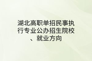 湖北高職單招民事執(zhí)行專業(yè)公辦招生院校、就業(yè)方向