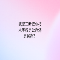 武漢三新職業(yè)技術(shù)學校是公辦還是民辦？