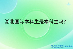 湖北國際本科生是本科生嗎？