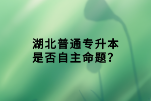 湖北普通專升本是否自主命題？