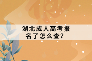 湖北成人高考報名了怎么查？