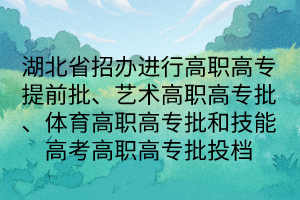 湖北省招辦進行高職高專提前批、藝術高職高專批、體育高職高專批和技能高考高職高專批投檔
