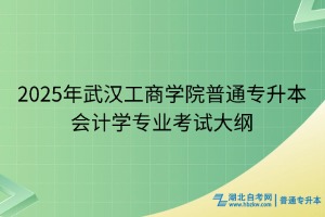 2025年武漢工商學院普通專升本會計學專業(yè)考試大綱