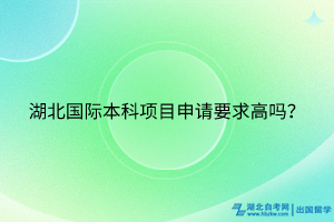湖北國際本科項目申請要求高嗎？