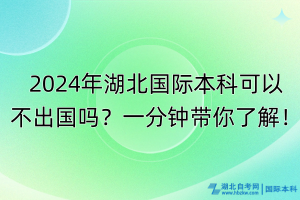 2024年湖北國際本科可以不出國嗎？一分鐘帶你了解！