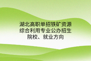 湖北高職單招鐵礦資源綜合利用專業(yè)公辦招生院校、就業(yè)方向