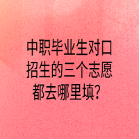中職畢業(yè)生對口招生的三個(gè)志愿都去哪里填？