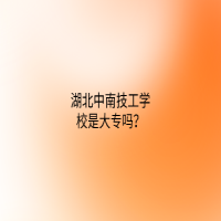湖北中南技工學校是大專嗎？