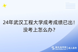 24年武漢工程大學(xué)成考成績已出！沒考上怎么辦？