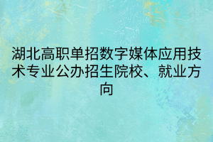 湖北高職單招數(shù)字媒體應用技術專業(yè)公辦招生院校、就業(yè)方向
