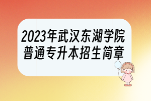 2023年武漢東湖學(xué)院普通專升本招生簡(jiǎn)章