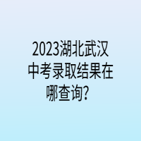 2023湖北武漢中考錄取結(jié)果在哪查詢？