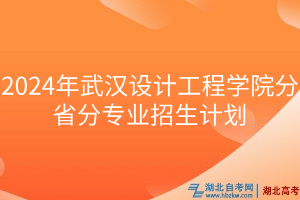 2024年武漢設計工程學院分省分專業(yè)招生計劃