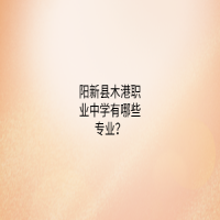 陽新縣木港職業(yè)中學有哪些專業(yè)？