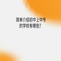 簡單介紹初中上中專的學(xué)校？