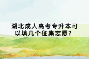 湖北成人高考專升本可以填幾個(gè)征集志愿？