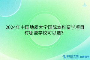 2024年中國地質(zhì)大學(xué)國際本科留學(xué)項目有哪些學(xué)?？梢赃x？