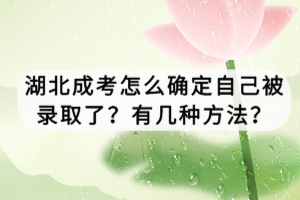 湖北成考怎么確定自己被錄取了？有幾種方法？