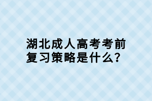 湖北成人高考考前復(fù)習(xí)策略是什么？