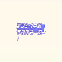 武漢3+2中職學(xué)校排名一覽！