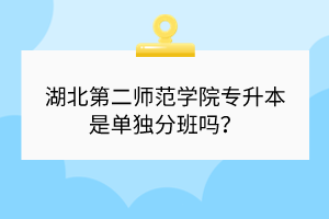 湖北第二師范學(xué)院專升本是單獨分班嗎？