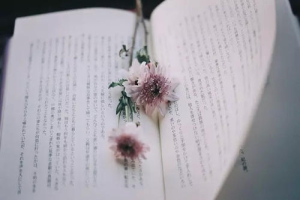 備考時(shí)如何選擇專升本院校？