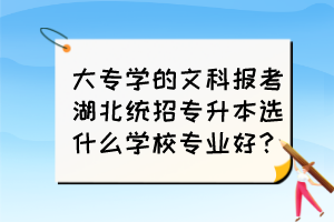 大專學(xué)的文科報(bào)考湖北統(tǒng)招專升本選什么學(xué)校專業(yè)好？