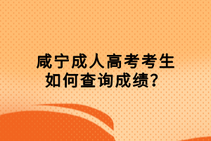 咸寧成人高考考生如何查詢成績？