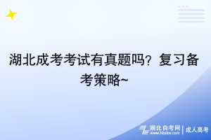 湖北成考考試有真題嗎？復(fù)習(xí)備考策略~