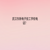 武漢東新電子技工學(xué)校電話？