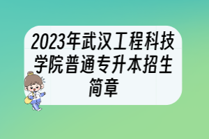 2023年武漢工程科技學(xué)院普通專升本招生簡(jiǎn)章