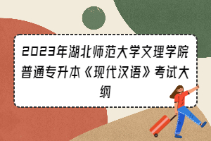 2023年湖北師范大學(xué)文理學(xué)院普通專(zhuān)升本《現(xiàn)代漢語(yǔ)》考試大綱