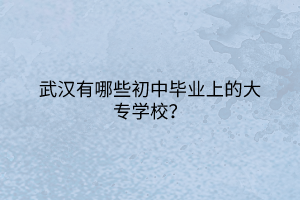 武漢有哪些初中畢業(yè)上的大專學(xué)校？