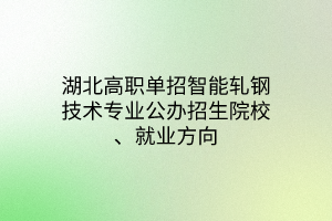 湖北高職單招智能軋鋼技術(shù)專業(yè)公辦招生院校、就業(yè)方向