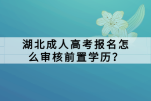 湖北成人高考報(bào)名怎么審核前置學(xué)歷？