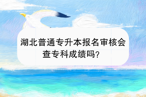 湖北普通專升本報(bào)名審核會(huì)審核?？瞥煽?jī)嗎？