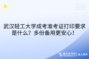 武漢輕工大學(xué)成考準(zhǔn)考證打印要求是什么？多份備用更安心！