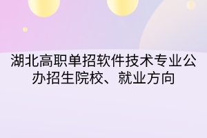 湖北高職單招軟件技術(shù)專業(yè)公辦招生院校、就業(yè)方向