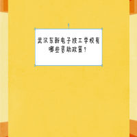 武漢東新電子技工學(xué)校有哪些資助政策？
